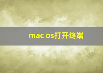 mac os打开终端